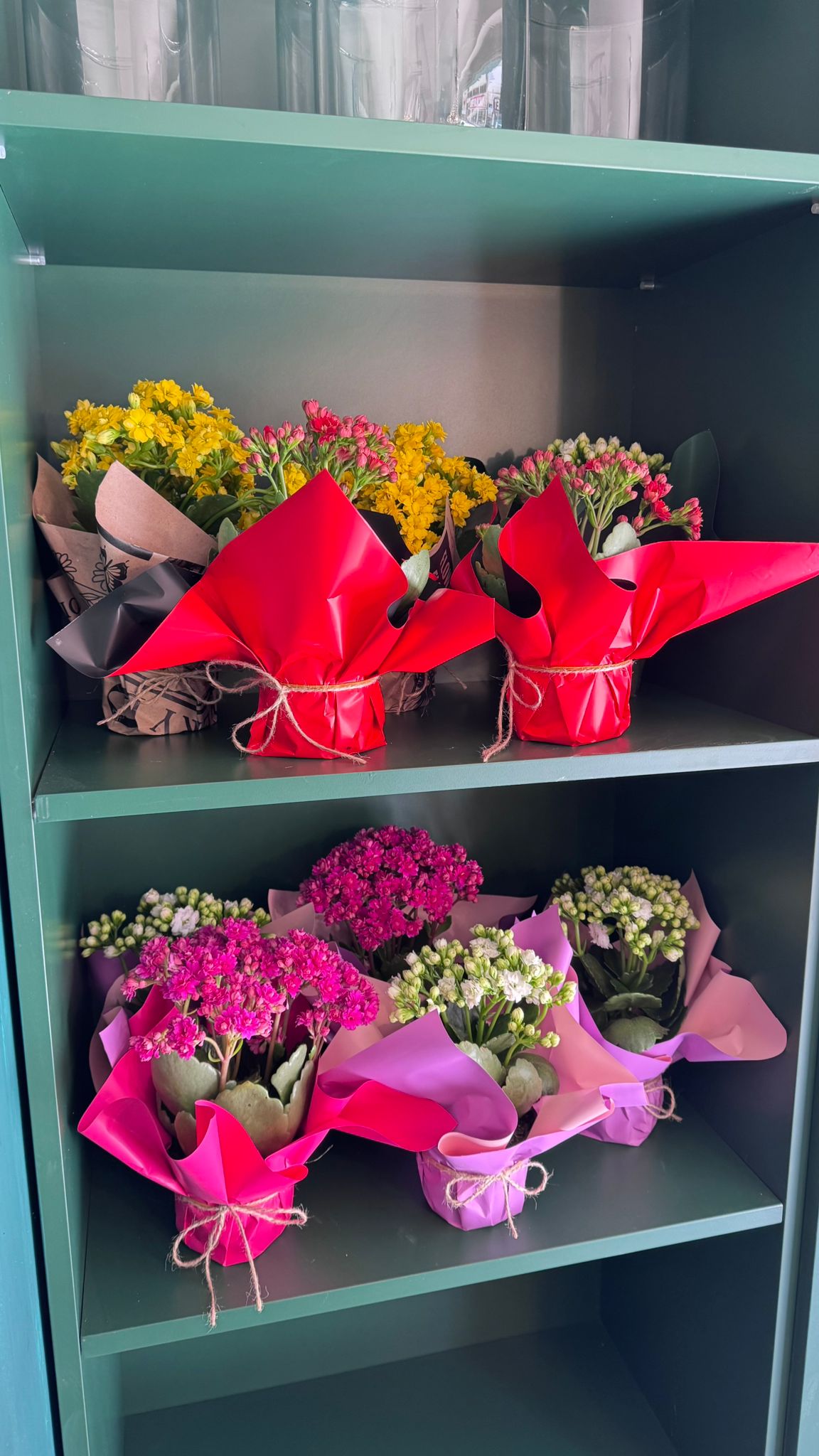 Daire 17 Bloom Deneyimi